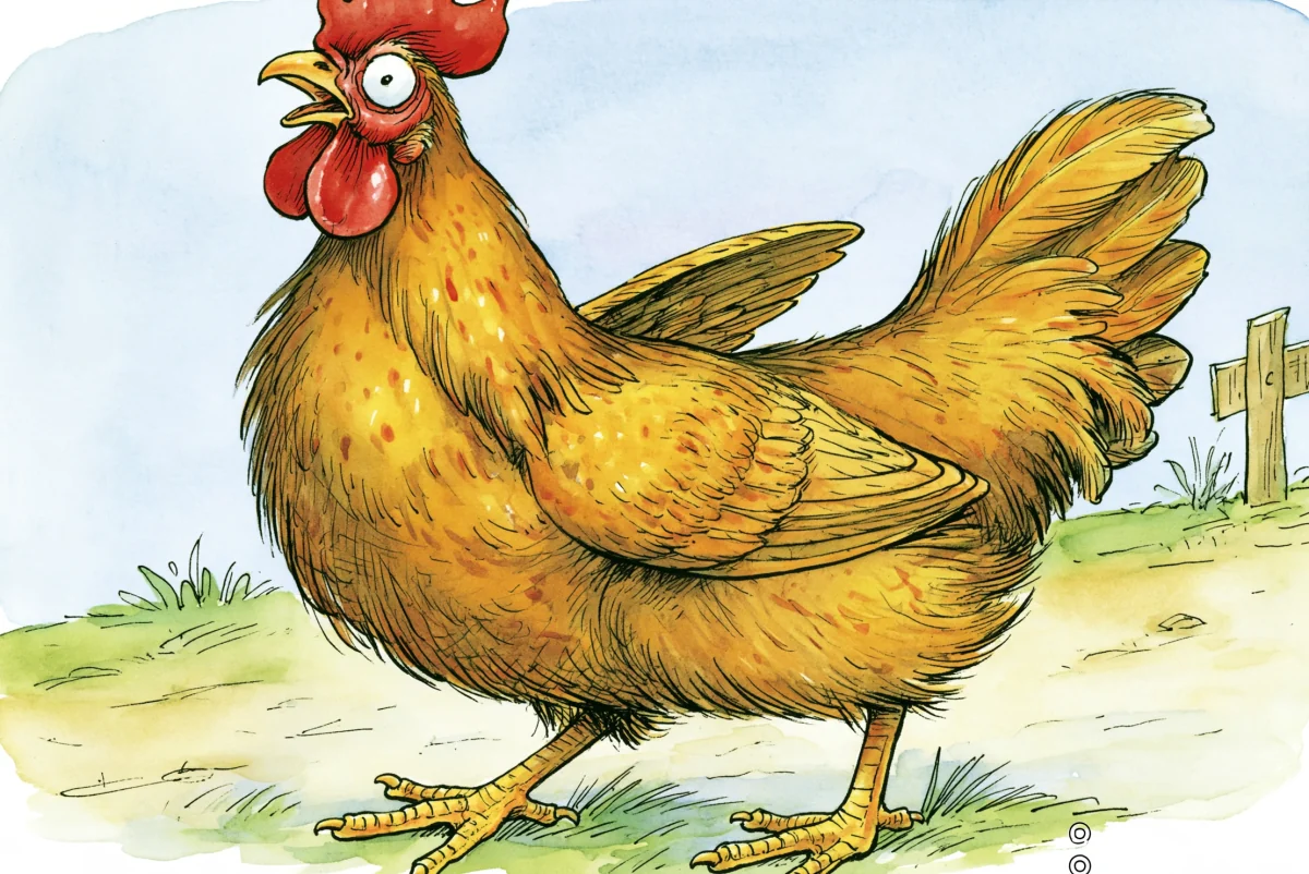 A single speckled Sussex hen standing side-on with her head up and one wing slightly lifted.